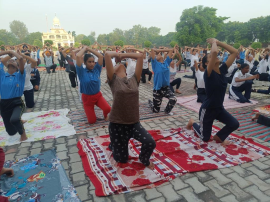 Click here to Enlarge